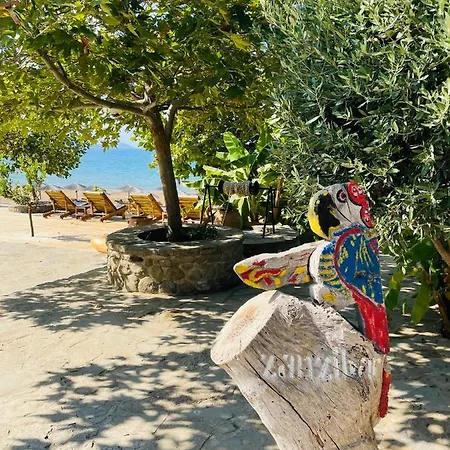 Kavourina