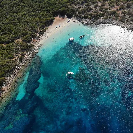 Kavourina * Φοινίκι